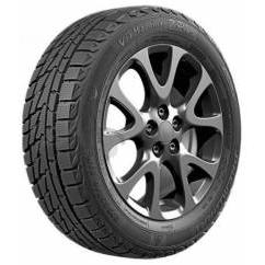 PREMIORRI VIAMAGGIORE Z PLUS 195/65 R15 91H