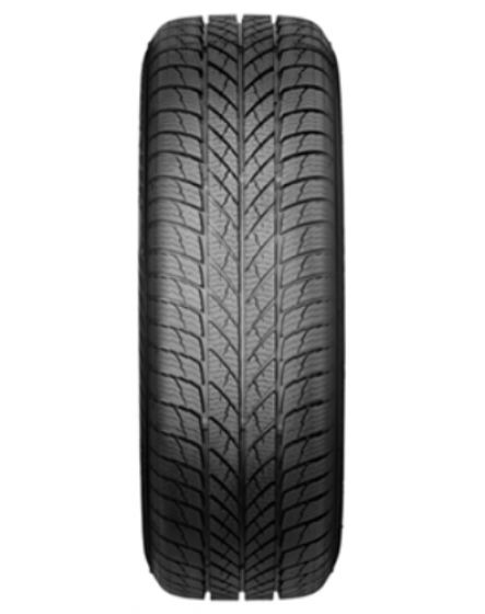 PAXARO INVERNO 225/45 R18 95V