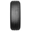 PAXARO INVERNO 225/45 R18 95V