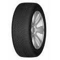 DOUBLE COIN DASP+ 205/55 R17 95V