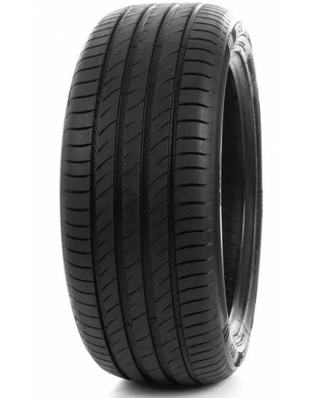DELINTE DS2 205/55 R17 95W