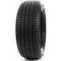 DELINTE DS2 205/55 R17 95W