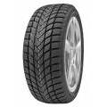 DELINTE WINTER WD6 185/60 R15 88H