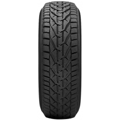 TAURUS WINTER 205/55 R16 91H