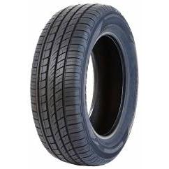 FORTUNE FSR303 255/50 R19 107V