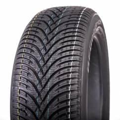 BF GOODRICH GOODRICH G-FORCE WINTER 2 SUV (RIM INGE PROTECTION) 235/50 R19 99V