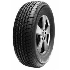 MASTERSTEEL WINTER + 195/45 R16 84H
