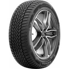 RADAR DIMAX WINTER 255/40 R20 101W XL