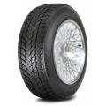 LANDSAIL WINTER LANDER 225/55 R17 97H
